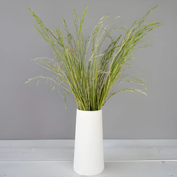 Fresh Shaker Grass Greens Online now - Image 3